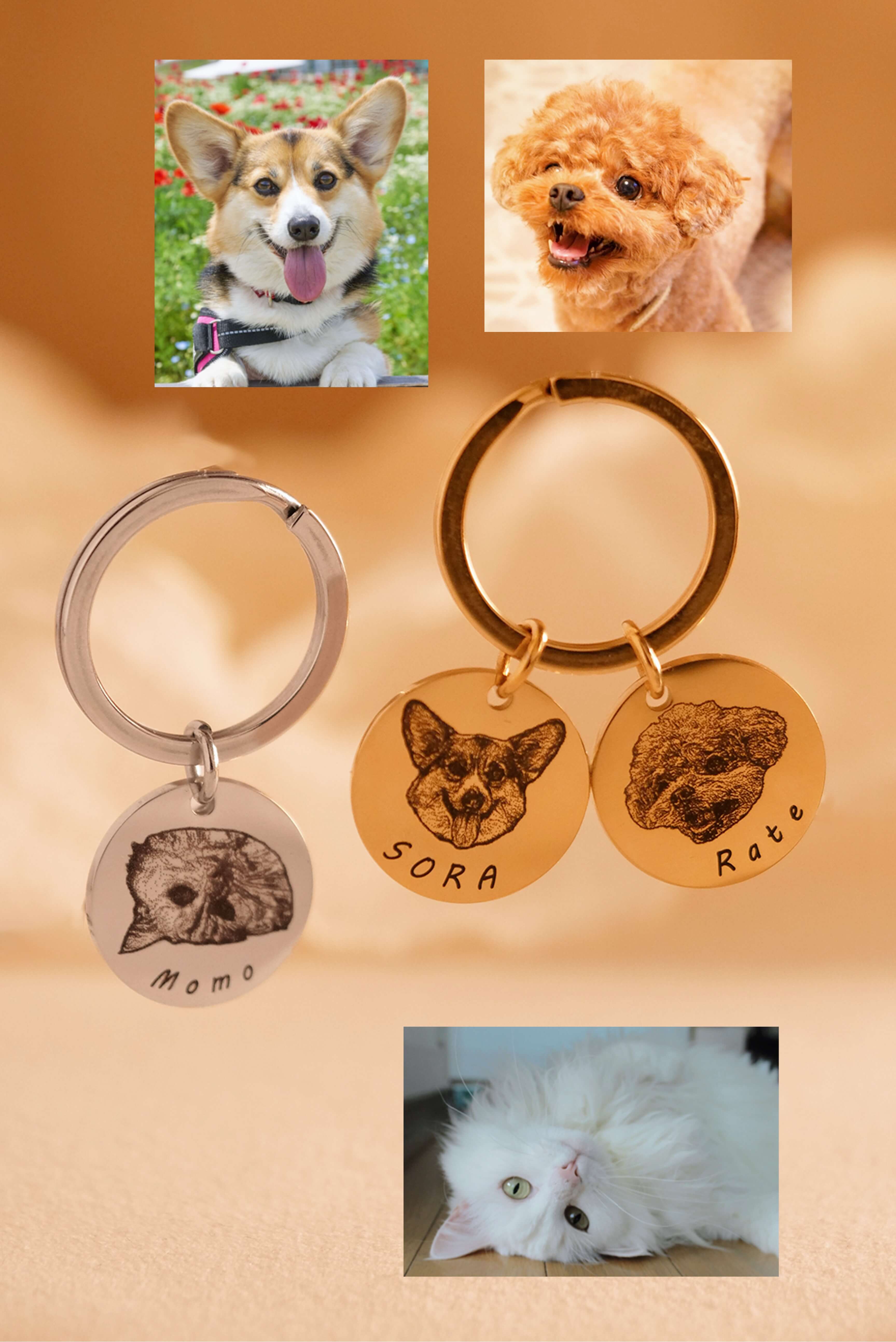 PAINT COIN (KEYTAG)