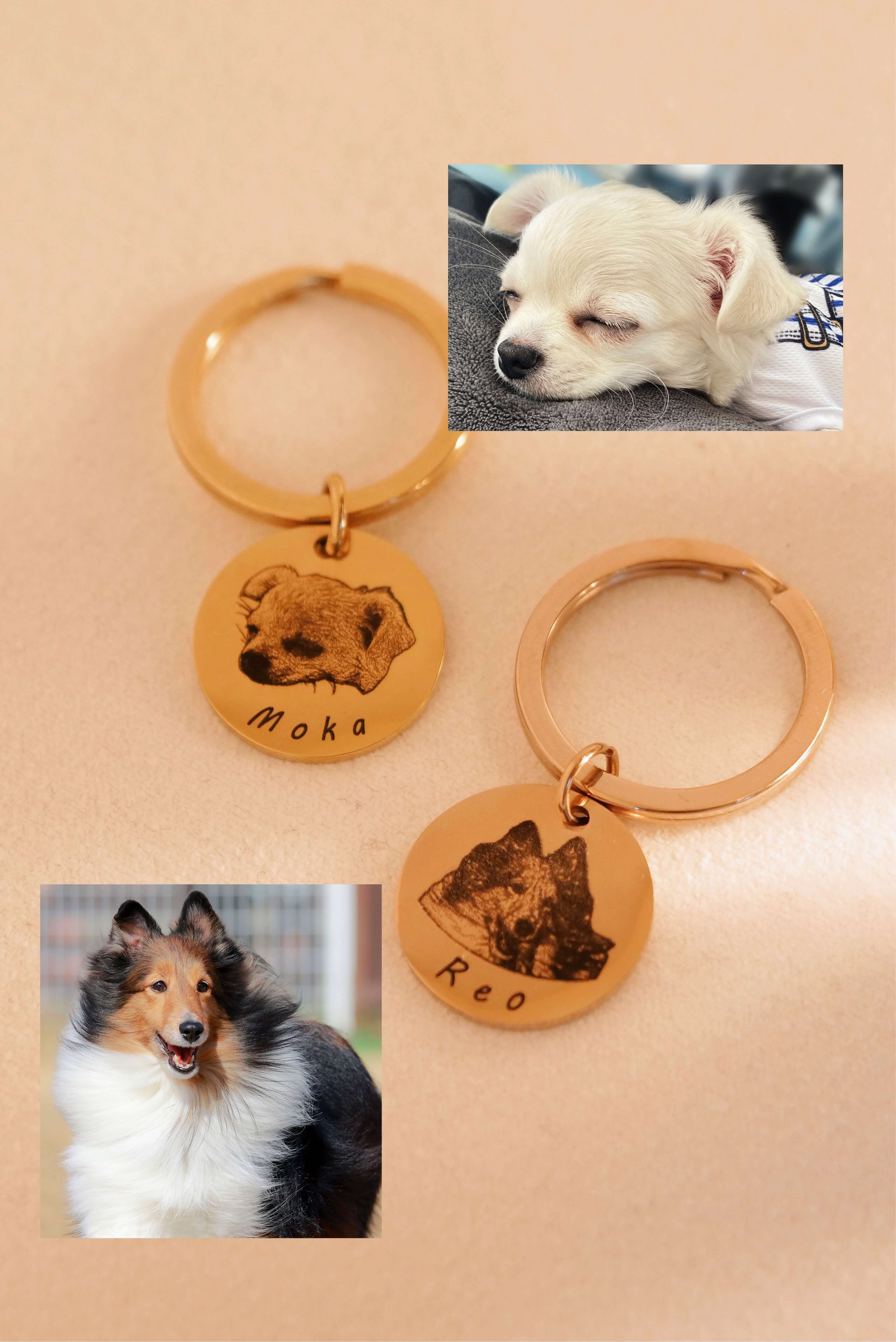 PAINT COIN (KEYTAG)