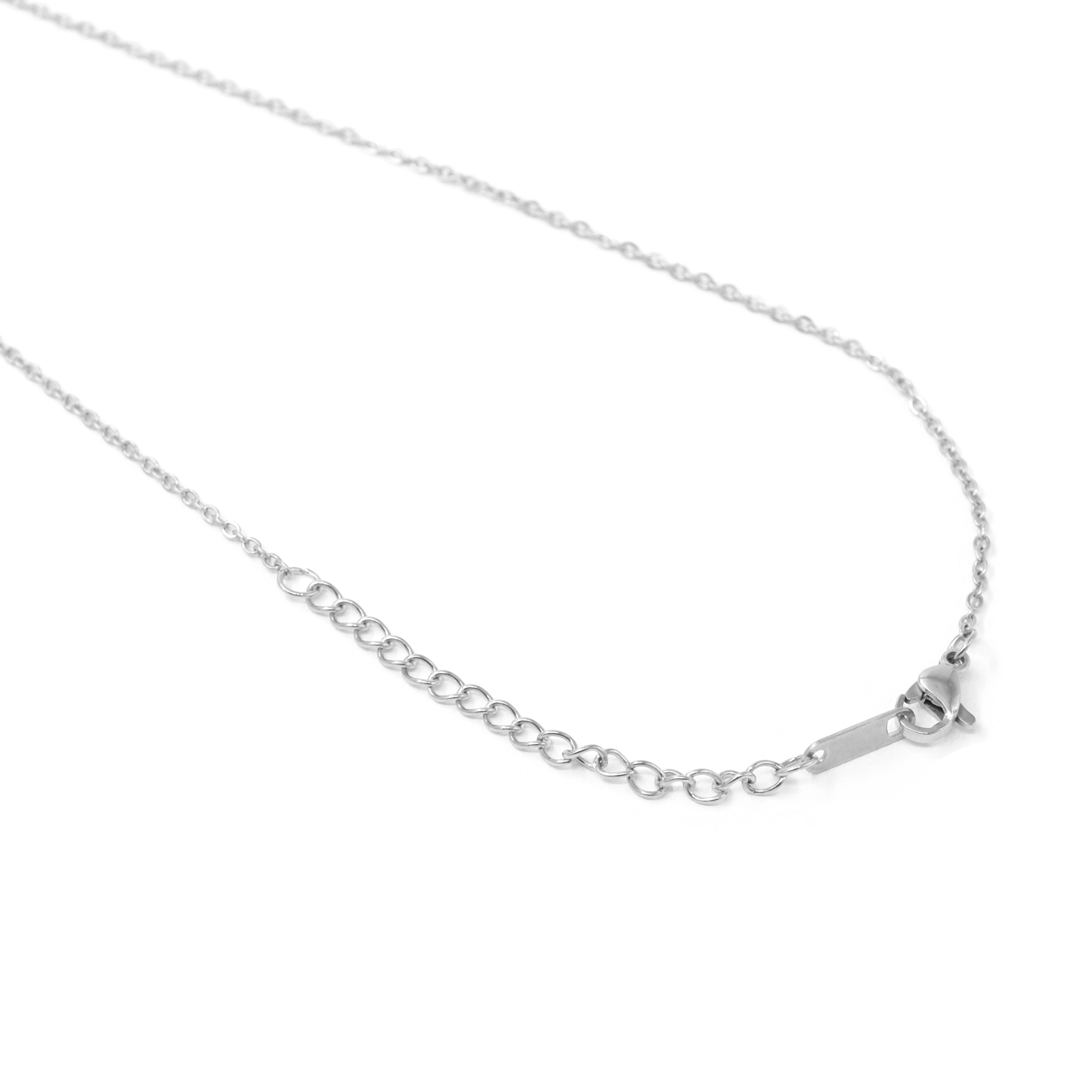 FOLCOIN SILVER (NECKLACE)